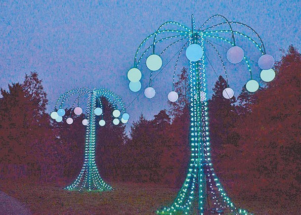 水母樹由數千個燈泡集合而成。