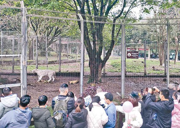 杭州市加強監管動物園。