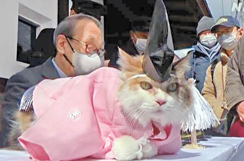 和歌山縣電車的貓站長穿上新裝。