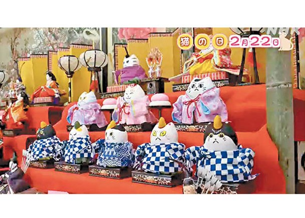 福岡縣宮若市布置了貓玩偶雛壇。