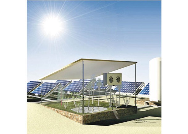太陽能板塗水凝膠  發電兼種菜