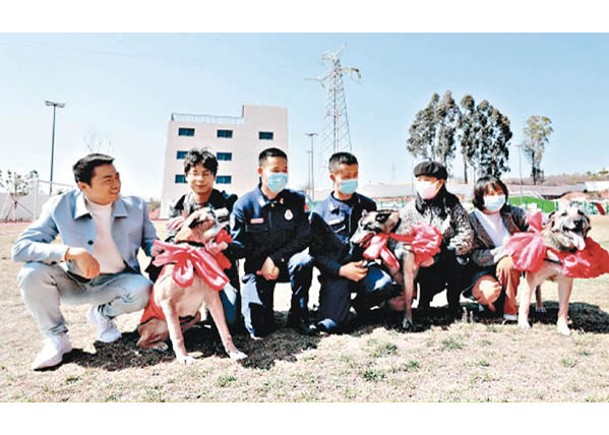 4救援犬榮休  徵召領養人