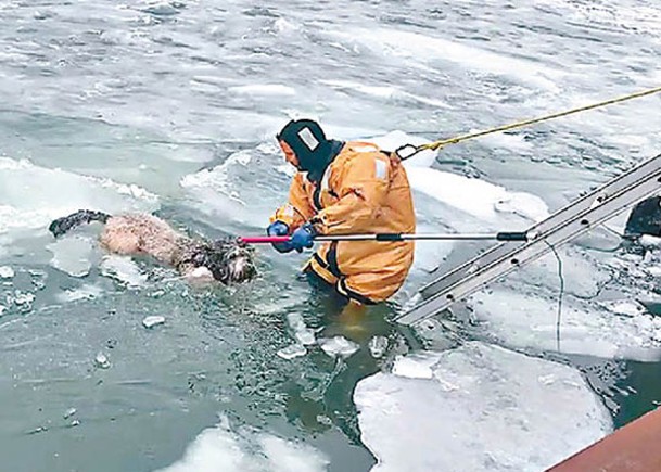 救援人員成功將狗拯救上岸。