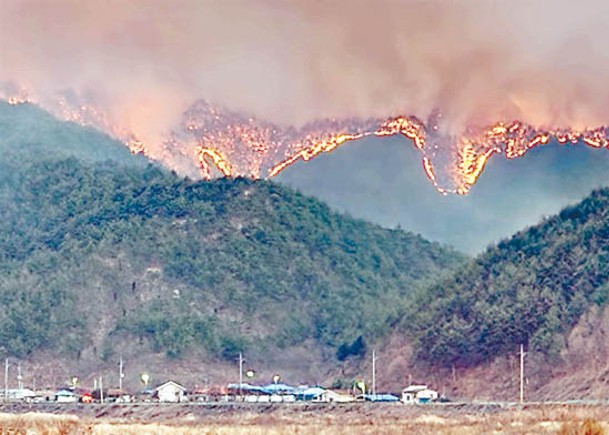 南韓東部山火持續燃燒。