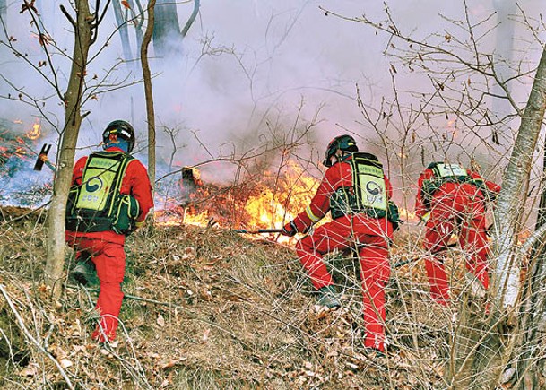 南韓山火創紀錄  連燒9日終撲滅