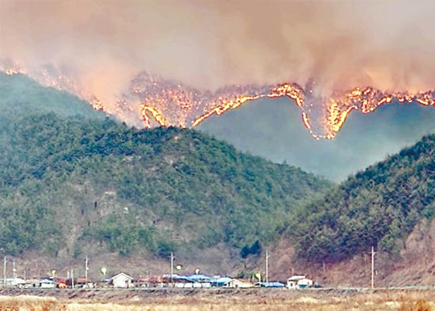 南韓東部山火焚毀大面積森林。