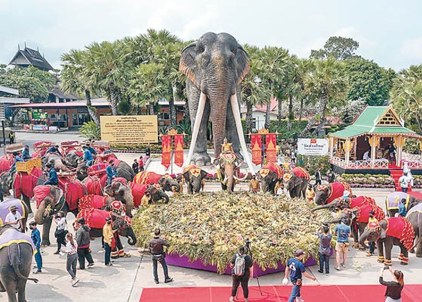 泰國大象日  60象盛裝歎蔬果放題