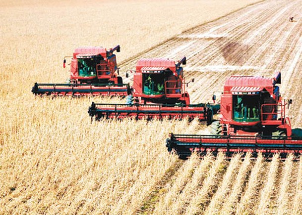 內地大豆種植面積  目標1460萬畝