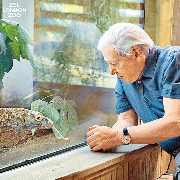 阿滕伯勒到訪倫敦動物園。