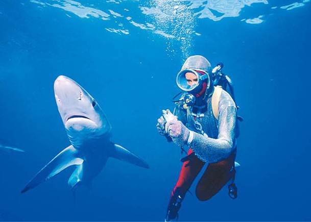 穿上保護衣的泰勒與鯊魚近距離接觸。