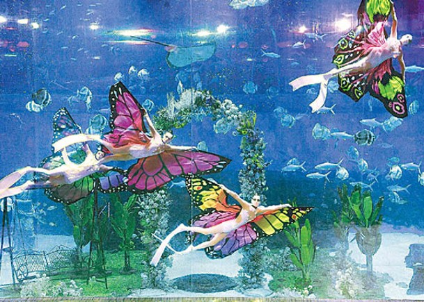 重慶海洋公園水下蝴蝶舞