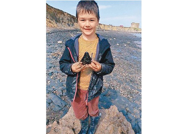 英海灘發現巨齒鯊牙化石