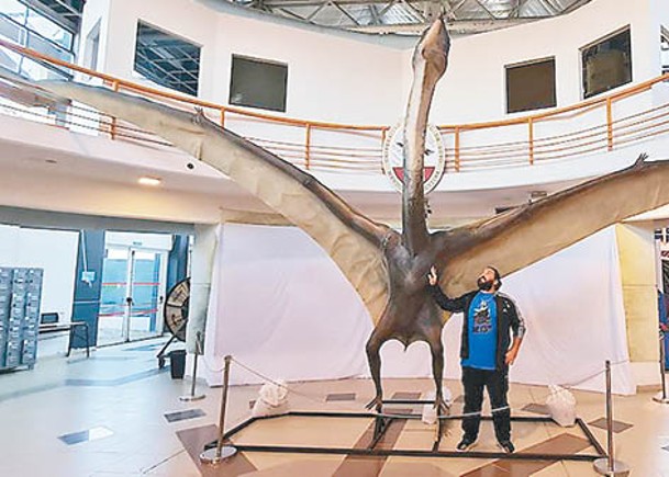翼展9米 死亡之龍模型 現身阿根廷