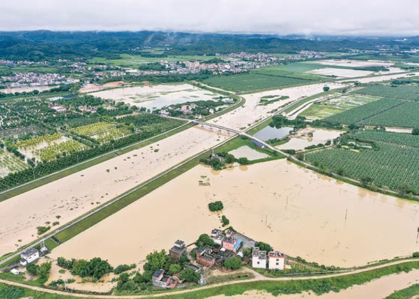 廣東暴雨  22河流洪水超警戒