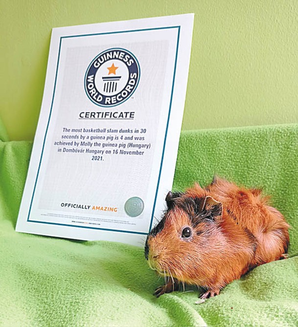 莫莉獲健力士世界紀錄認證。