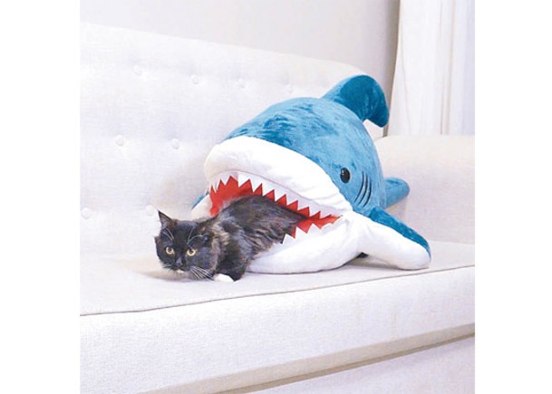 縫嘴前：貓咪喜歡到鯊魚睡袋玩耍。