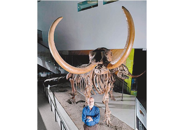 研印第安納1.32萬年象骨  終解死因