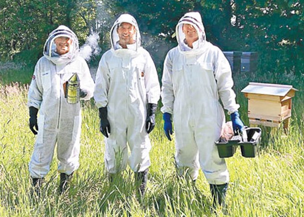 40萬蜜蜂疑被盜  識飛回家