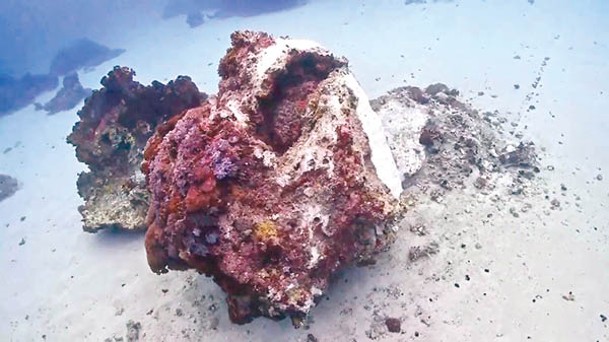 現在：「摩艾石」珊瑚礁斷成兩截。