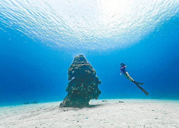 台摩艾石珊瑚礁斷成兩截