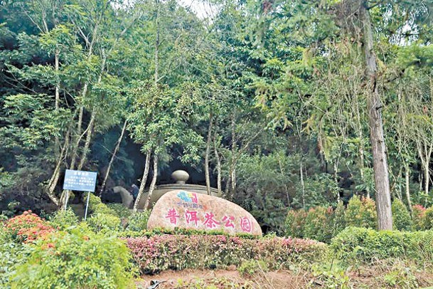 眾人在普洱茶公園行兇。