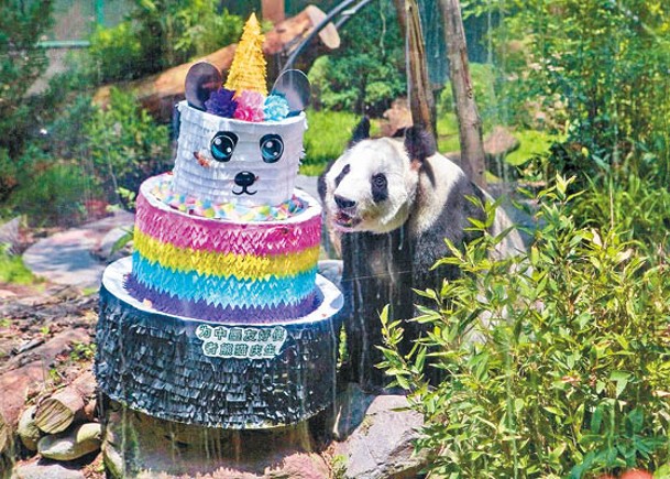 墨西哥大熊貓  生日離奇死亡