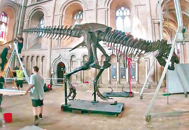 展覽會還包括史前恐龍骨架複製品。