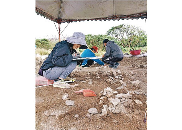 鵝鑾鼻出土 4000年人骨貝器