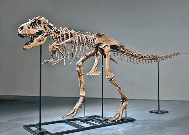 高3米蛇髮女怪龍化石售4758萬