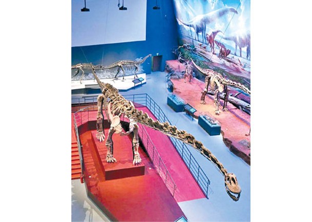 合川馬門溪龍化石被譽為鎮館之寶，是亞洲最大的恐龍化石。