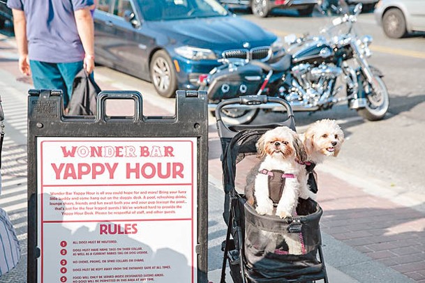 美國一間酒吧為狗和主人設「YAPPY HOUR」。