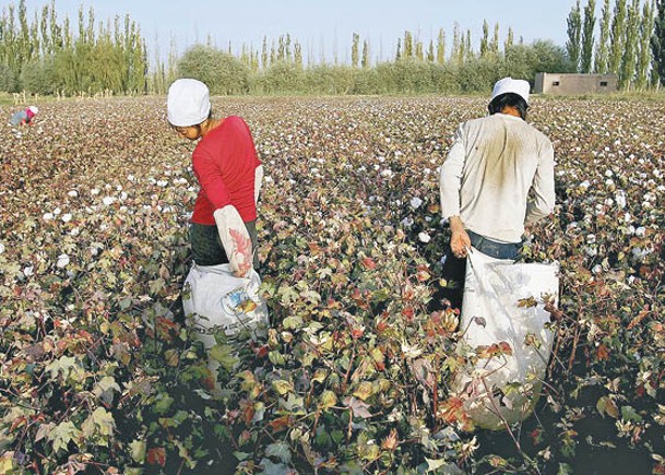 新疆人權問題受到西方國家關注。（Getty Images圖片）