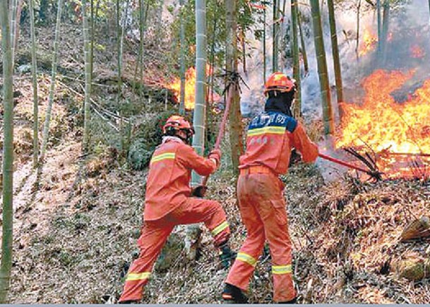 貴州天台山山火終撲滅