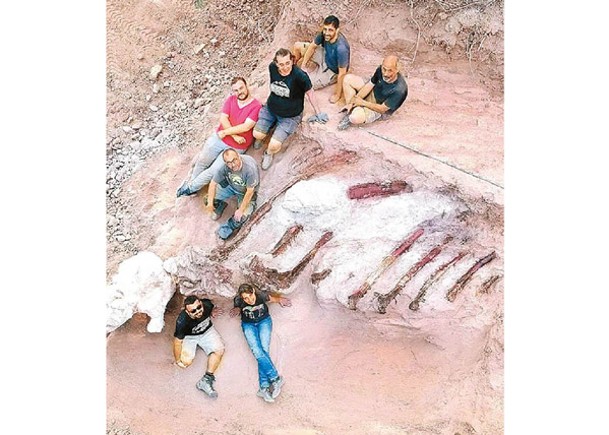 歐洲掘最大恐龍骨  長25米  高12米