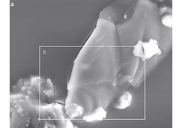 分析嫦娥五號成果  揭月壤單質金屬鐵奧秘
