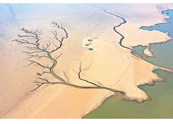 提前進入極枯水期的鄱陽湖。（中新社圖片）