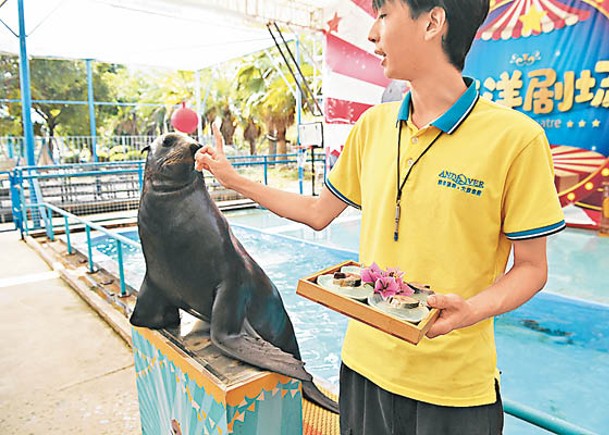 海獅正享用特製月餅。