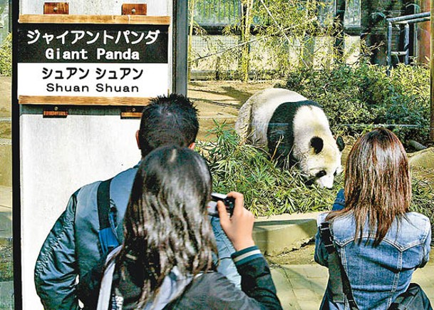 動物園改制  迎客睹雙胞大熊貓