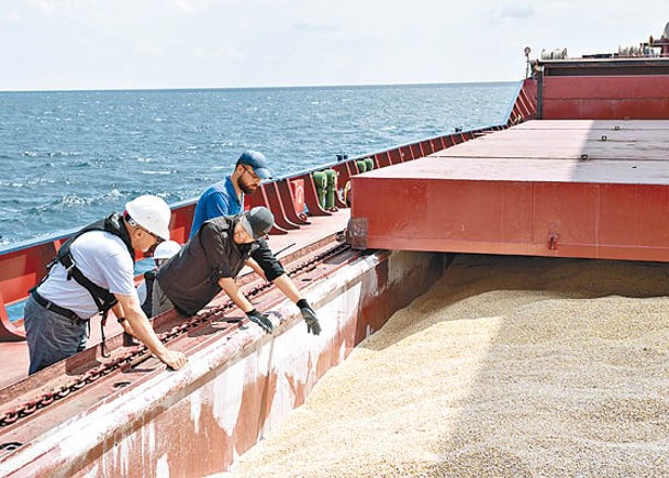 烏克蘭穀物運往海外。（Getty Images圖片）