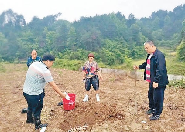 非法放生大量鏡鯉  養殖戶罰款