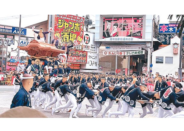 岸和田地車祭復辦  居民遊客觀戰