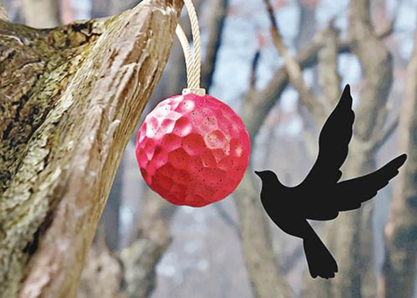 潮流創意：3D打印種子球  誘鳥啄食