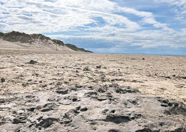 海灘古代足迹  揭數千年環境變化