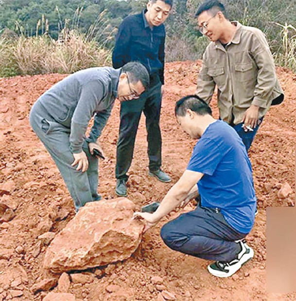 恐龍蛋化石在九江市一個工地出土。