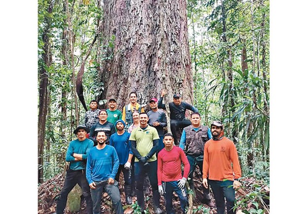 科學家遠征兩周  首抵亞馬遜最高樹