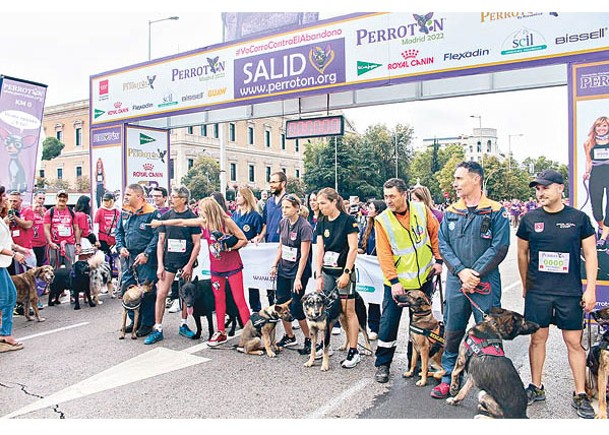 狗拉松於馬德里市中心舉行。