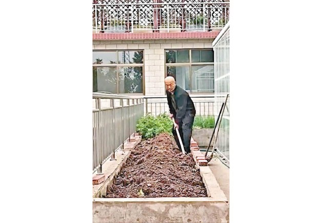 河北漢改建天台做菜園