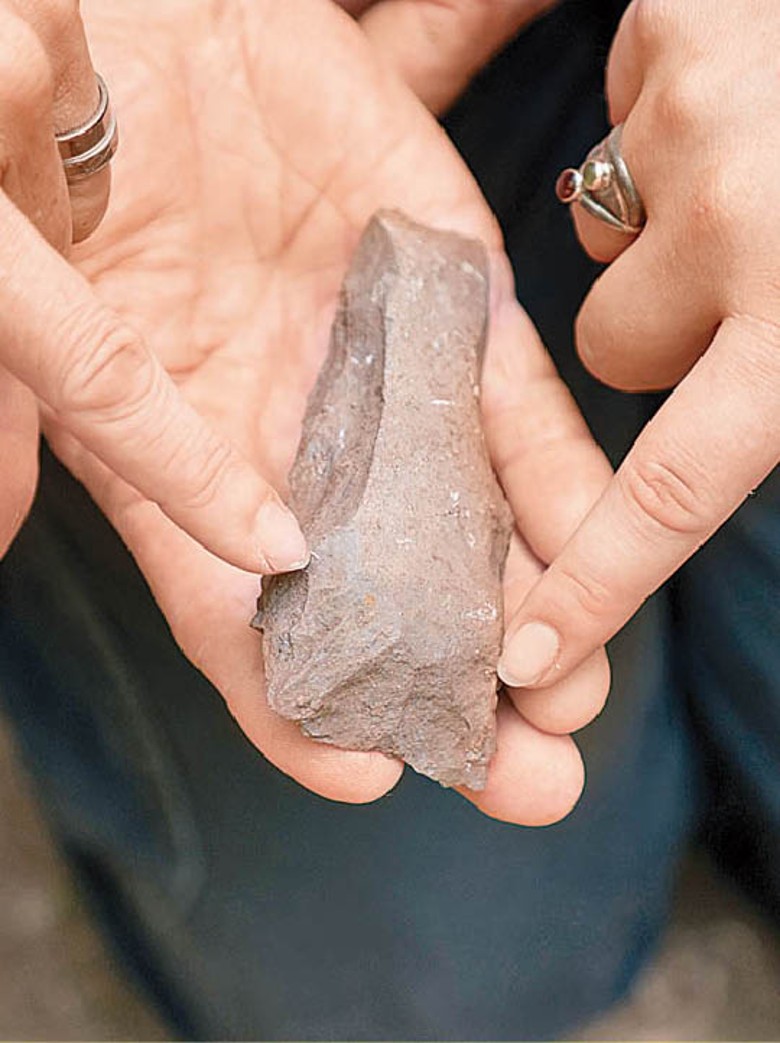 石斧由玄武岩製成。