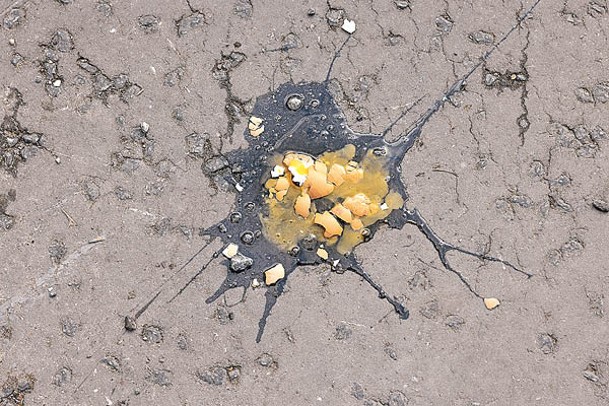 雞蛋在地上裂開。