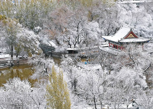 新疆自治區烏魯木齊市出現降雪降溫天氣。（中新社圖片）